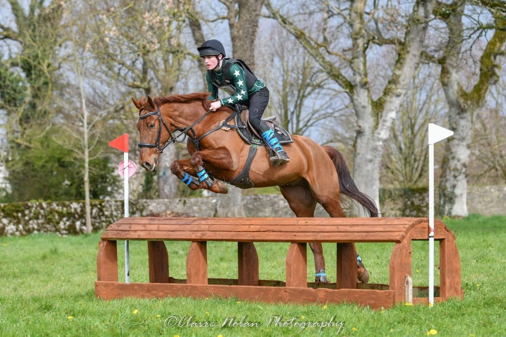 5 Best Equestrian Centres in Cheltenham - Explore lessons for your riding interests